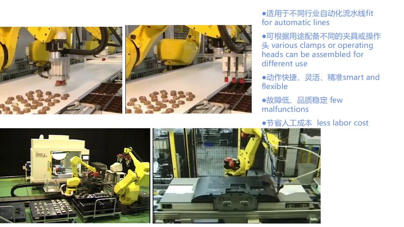 食品车间上下料机器人定制方案：精准定位，高效生产